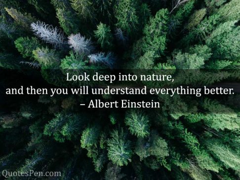 Best Good Morning Nature Quotes with Images | QuotesPen