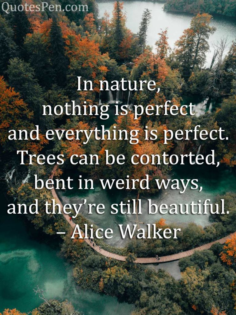 Best Good Morning Nature Quotes with Images | QuotesPen