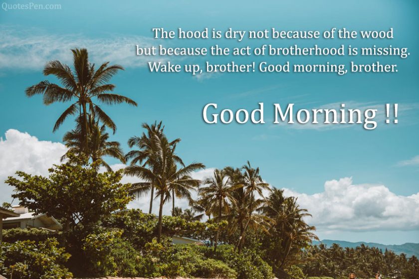 Top 20 Good Morning Quotes for Special One - Good Morning Images