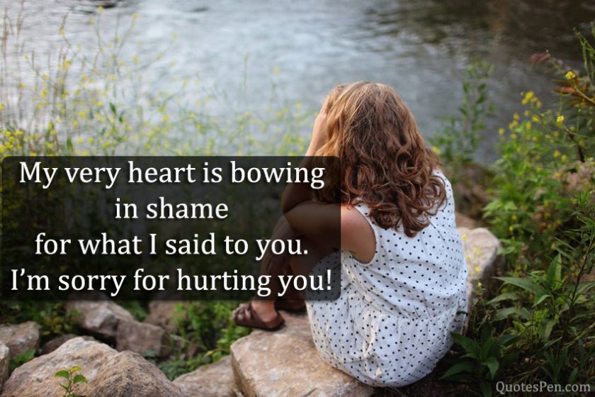 Hurting And Saying Sorry Quotes