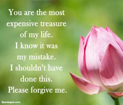 Sorry Quotes for Sister - Best Apology Messages with Images