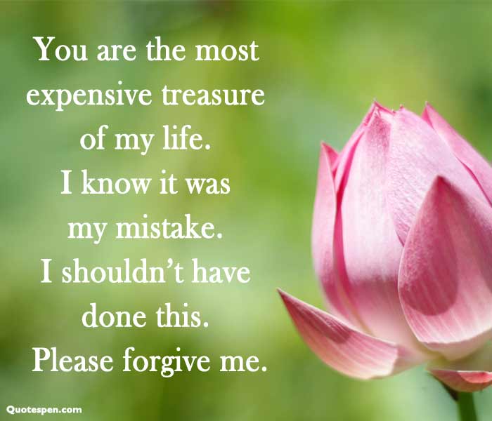 sorry-quotes-for-sister-best-apology-messages-with-images