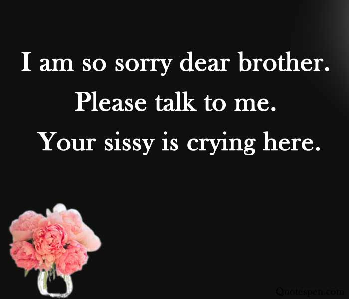 Sorry Quotes For Brother Apology Messages In English