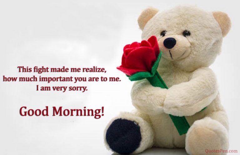 Good Morning Sorry Quotes with Images - Apologize Messages