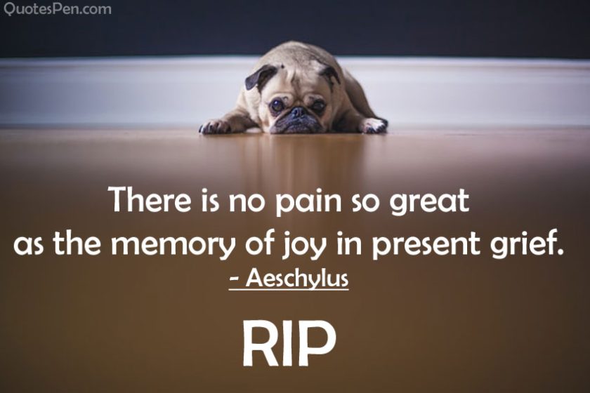 rest-in-peace-quotes-for-dog-rip-messages